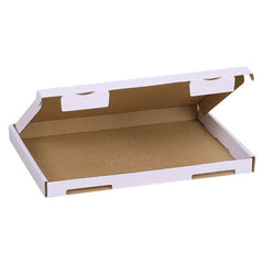 Großbriefkarton 230x160x20 mm - Weiß
