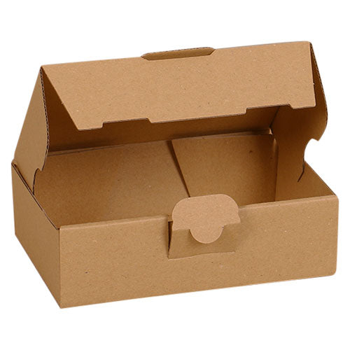 Maxibriefkarton 160x110x50 mm - Braun