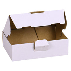 Maxibriefkarton 160x110x50 mm - Weiß